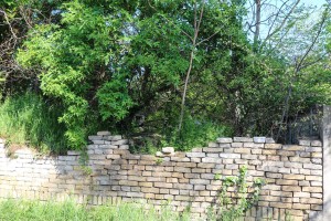 Divlja deponija pored kuća (Ilirska, MZ Dudova šuma)