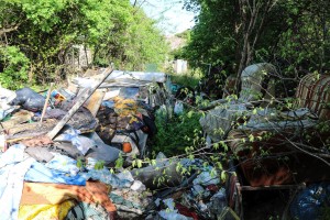 Divlja deponija pored kuća (Ilirska, MZ Dudova šuma)