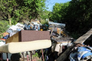 Divlja deponija pored kuća (Ilirska, MZ Dudova šuma)