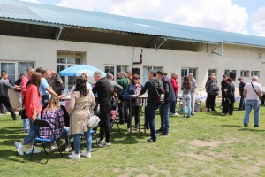 VI Festival vina u Tavankutu