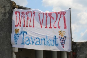 VI Festival vina u Tavankutu