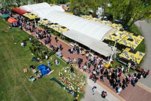 Prvomajski uranak 2022. uz obalu Palićkog jezera (iz ptičje perspektive)