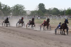 Kasački sport: 2. trkački dan Gradskom hipodromu