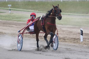 Kasački sport: 2. trkački dan Gradskom hipodromu