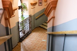 Sadnja paradajza u okviru projekta koji ima za cilj podizanje svesti o očuvanju životne sredine