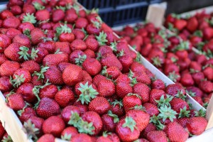 Prodaja voća i povrća u Malom Bajmoku