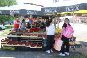 Prodaja voća i povrća u Malom Bajmoku