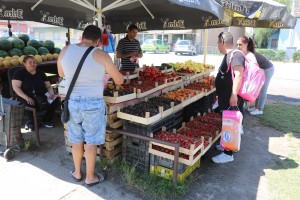 Prodaja voća i povrća u Malom Bajmoku