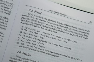 Promocija gramatike bunjevačkog jezika