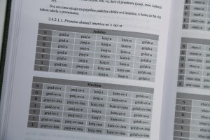 Promocija gramatike bunjevačkog jezika