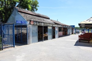 Bazen u Dudovoj šumi spreman za kupačku sezonu na otvorenom