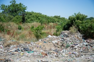 Obilazak početka sanacije divlje deponije u Donjem Tavankutu