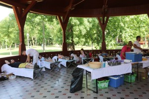 Akcija dobrovoljnog davanja krvi "Humana subota"