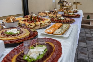 Villа Cvijanović - odmor u modernom ambijentu, uz bazen i wellnes sadržaje