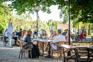 Obeležavanje Dana Ivana Sarića