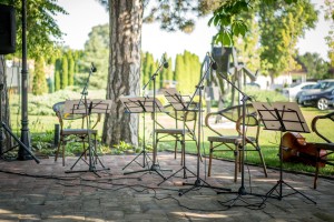 Obeležavanje Dana Ivana Sarića