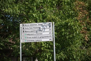 Obilazak putarskih radova u ulici Proleterskih brigada