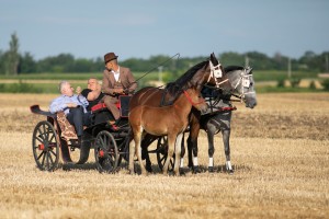 Takmičenje risara 2022 (album #2)