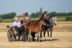 Takmičenje risara 2022 (album #2)