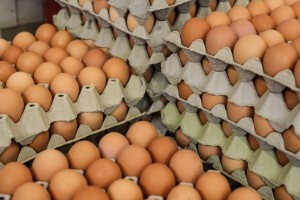 Običan pijačni dan na "Zelencu"