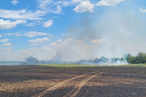 Požar na poljoprivrednom zemljištu  uz Palićki put