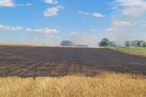 Požar na poljoprivrednom zemljištu  uz Palićki put