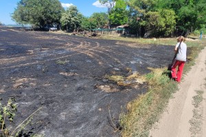 Požar na poljoprivrednom zemljištu  uz Palićki put