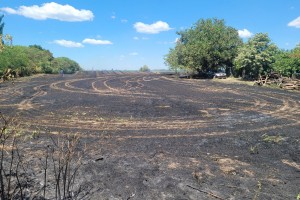 Požar na poljoprivrednom zemljištu  uz Palićki put