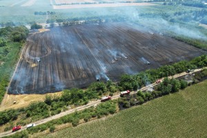 Požar na poljoprivrednom zemljištu  uz Palićki put