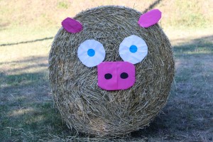 Seoske igre bez granica - Bikovo 2022