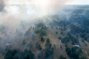 Požar u Radanovačkoj šumi