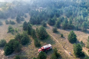 Požar u Radanovačkoj šumi