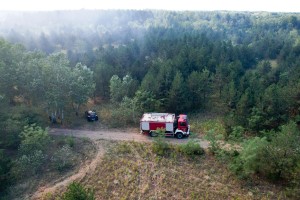Požar u Radanovačkoj šumi