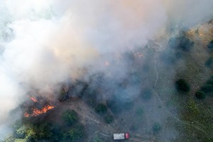 Požar u Radanovačkoj šumi