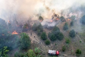Požar u Radanovačkoj šumi