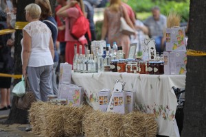 Dužijanca 2022 - Centralna svečanost