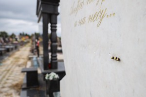 Oskrnavljeni nadgrobni spomenici na Pravoslavnom groblju u Dudovoj šumi