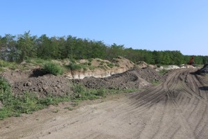 Problemi građana Liparske ulica na Kelebiji sa peščanim putem