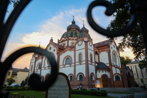 Koncert: „Pod sjajem zvezda“