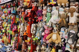 Specijalizovana prodavnica za kućne ljubimce - "Pet centar"