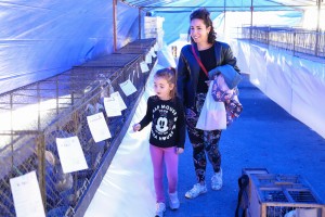 32. Berbanski dani na Paliću