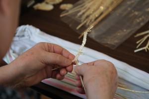 Slamarska kolonija udruženja "Lusa"