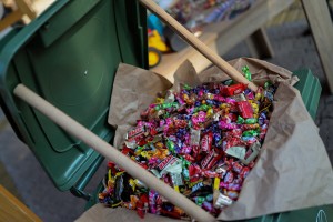 Smotra mehanizacije JKP "Čistoća i zelenilo"