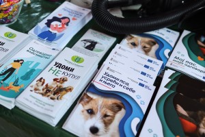 Smotra mehanizacije JKP "Čistoća i zelenilo"