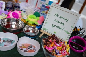 Smotra mehanizacije JKP "Čistoća i zelenilo"