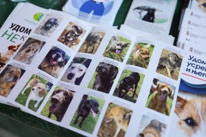 Smotra mehanizacije JKP "Čistoća i zelenilo"