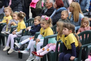 „Festival ljubavi – inkluzija na delu“