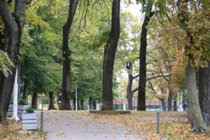 Izlovljavanje invazivne ribe u Palićkom jezeru (Projekat "Ecolacus")