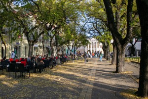 Koncert na Trgu za Melindu