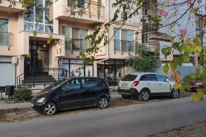 ZM Kids (X body studio)